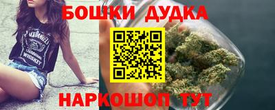 дурь Шелехов