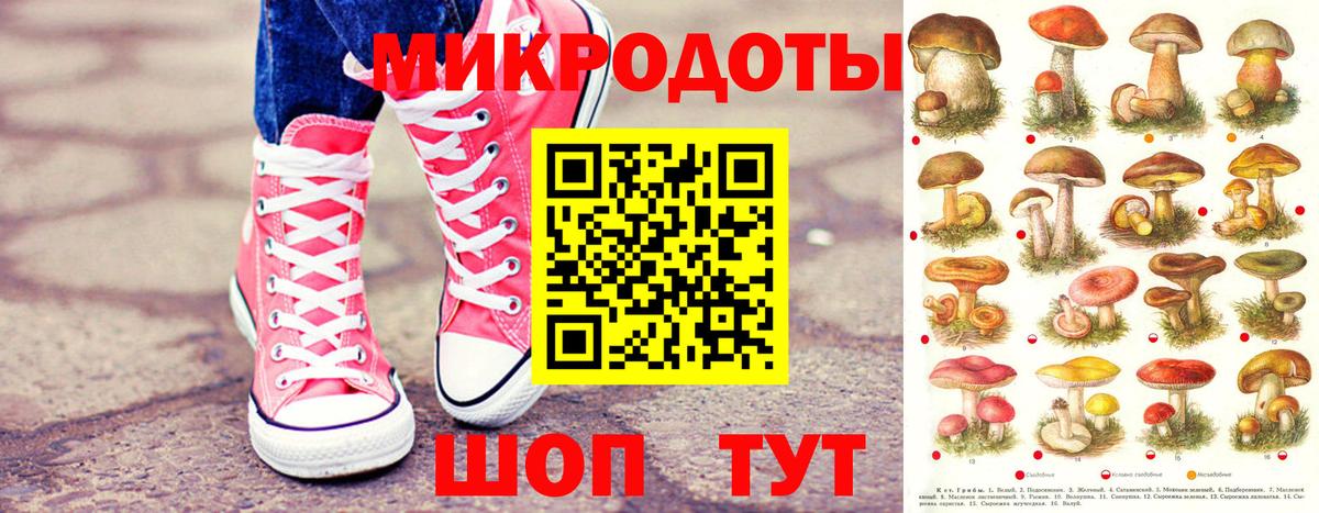 Галлюциногенные грибы Magic Shrooms Кисловодск